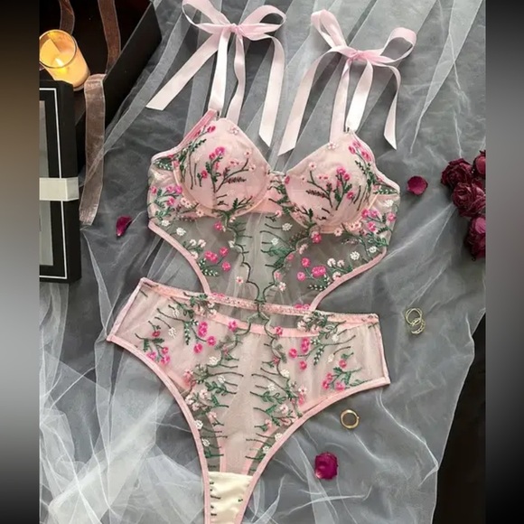 Pink Floral Embroidered Mesh Bodysuit Teddy - Picture 2 of 5